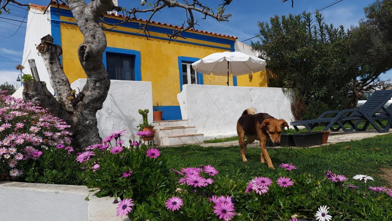 Monte Da Ti Luzia Villa FAO Exterior foto
